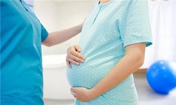 Công chức mang thai hộ có tính là sinh con thứ ba?