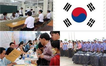 10 quận/huyện bị dừng tuyển lao động sang Hàn Quốc năm 2020