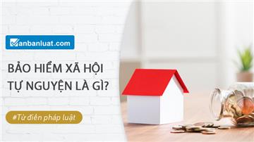 Bảo hiểm xã hội tự nguyện là gì? Có những phương thức đóng nào?