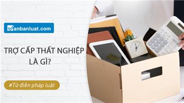 Bảo hiểm thất nghiệp là gì? Ai bắt buộc tham gia?