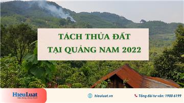 Quy định tách thửa tỉnh Quảng Nam năm 2022 như thế nào?