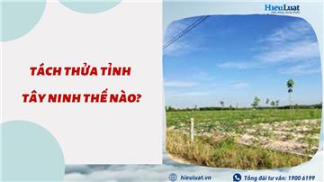 Quy định tách thửa tỉnh Tây Ninh thế nào? Được phép tách thửa đồng thời với hợp thửa tại Tây Ninh không?