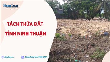 Diện tích tối thiểu được tách thửa ở Ninh Thuận là bao nhiêu?
