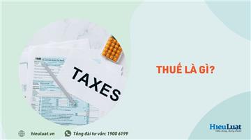 Thuế là gì? Các loại thuế ở Việt Nam