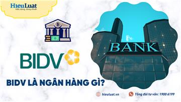 Ngân hàng BIDV là ngân hàng gì? Có uy tín không?