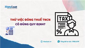 Thử việc đóng thuế TNCN có đúng quy định không?