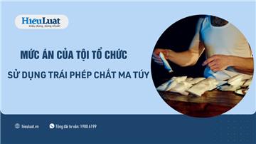 Mức phạt tội tổ chức sử dụng trái phép chất ma túy thế nào?