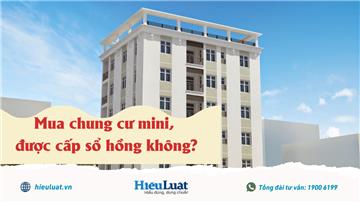Mua chung cư mini tại Hà Nội, được cấp sổ hồng không?