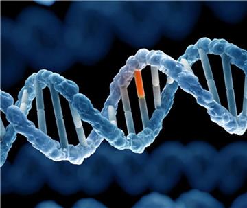 Gen là gì? Tìm hiểu những thông tin thú vị về bộ gen của người