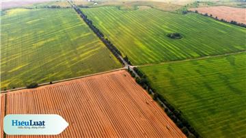 Chuyển đổi quyền sử dụng đất nông nghiệp: Quy định mới theo Luật 2024