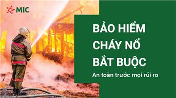 Giải pháp bảo hiểm cháy nổ: Lá chắn vững chắc cho nhà xưởng, kho hàng