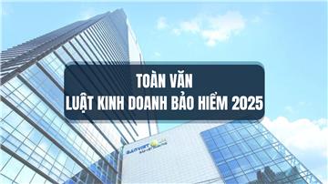 Tải về toàn văn Luật Kinh doanh bảo hiểm sửa đổi 2025
