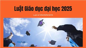 Toàn văn Luật Giáo dục đại học 2025, số 125/2025/QH15