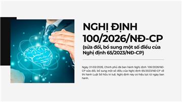 Toàn văn Nghị định 100/2026/NĐ-CP về sở hữu trí tuệ