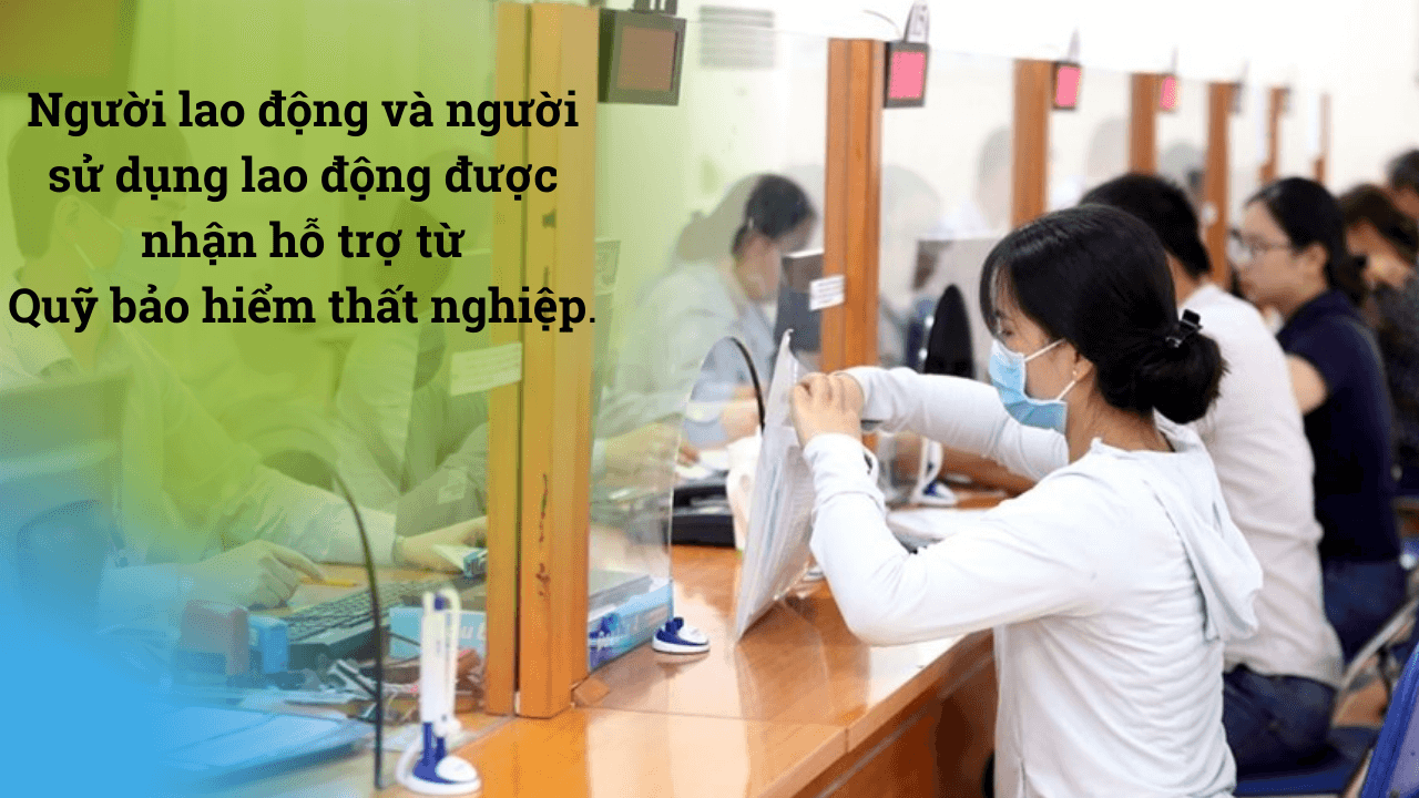 quỹ bảo hiểm thất nghiệp hỗ trợ covid quy bao hiem that nghiep ho tro covid