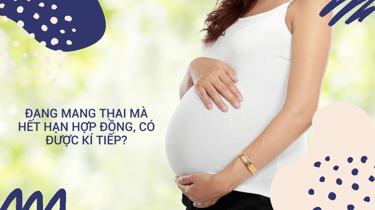 đang mang thai mà hết hạn hợp đồng dang mang thai ma het han hop dong