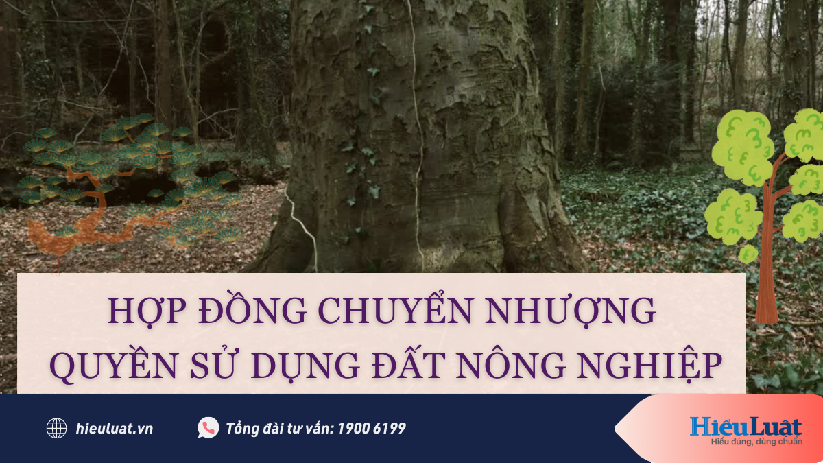 Hợp đồng chuyển nhượng đất nông nghiệp phải công chứng không?