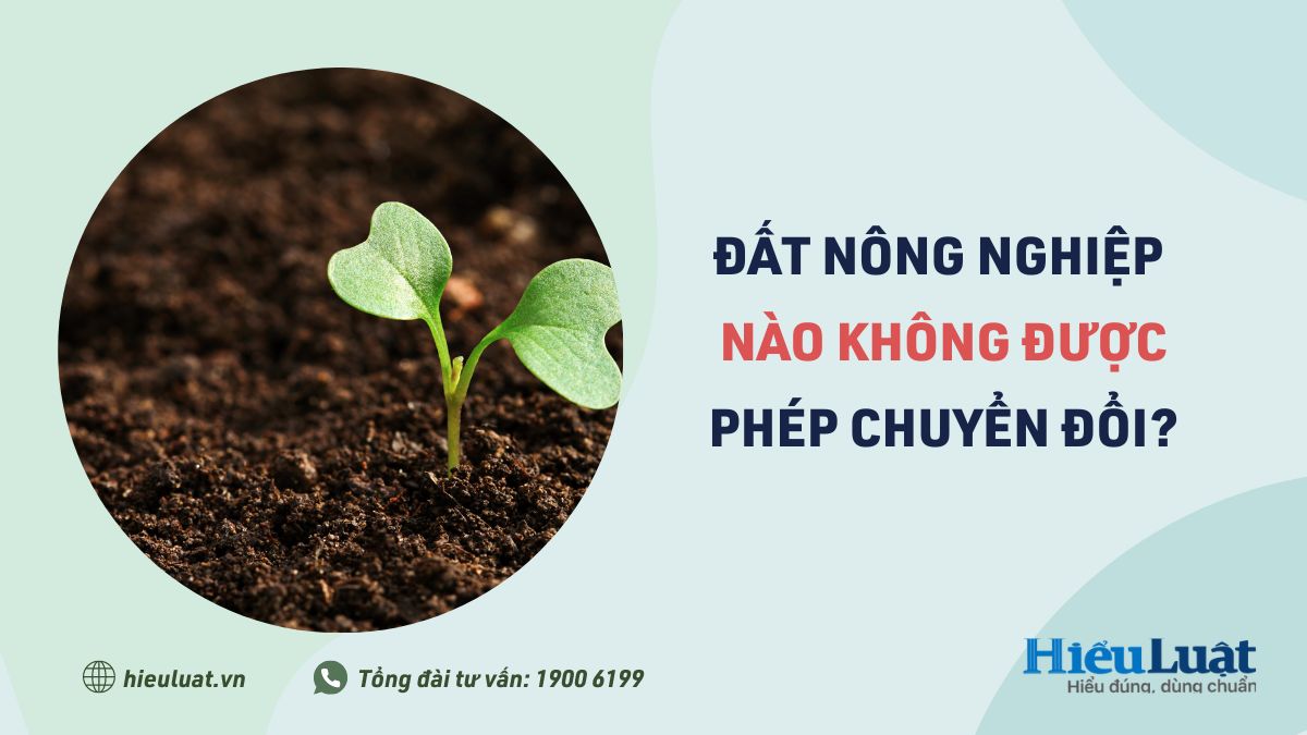 loai dat nong nghiep nao khong duoc phep chuyen doi