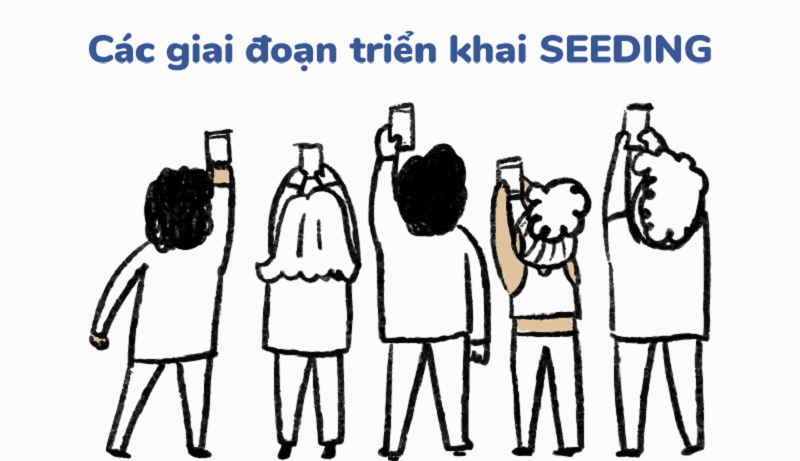 Seeding là gì? Seeding la gi
