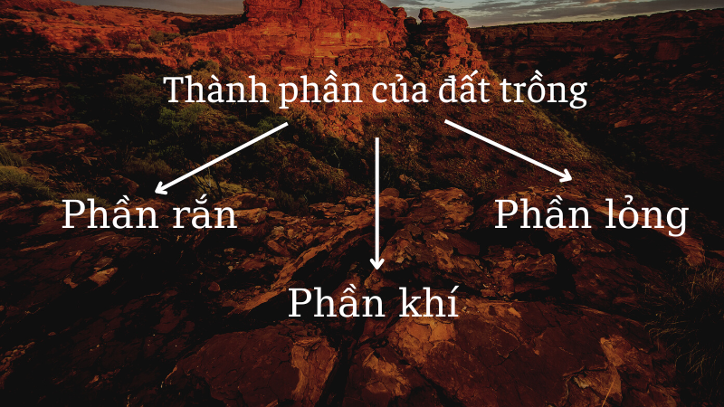 đất trồng là gì  dat trong la gi