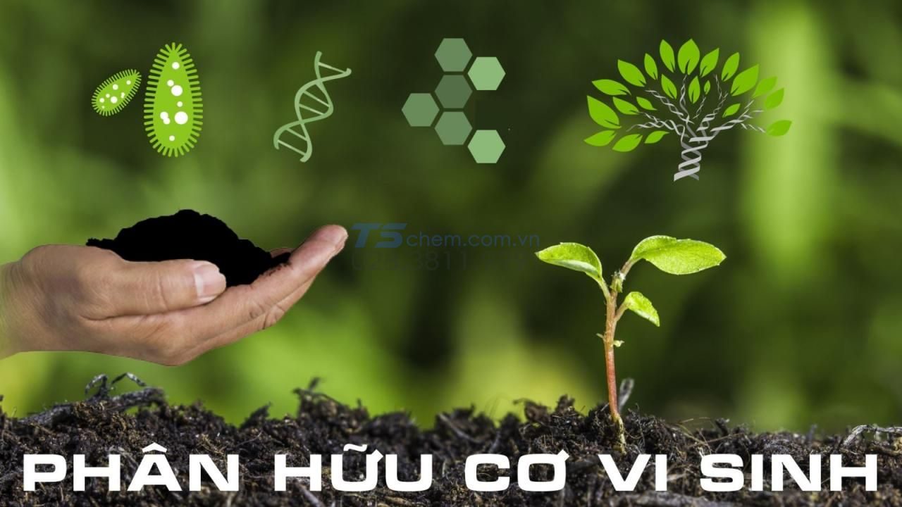 phân bón là gì phan bon la gi