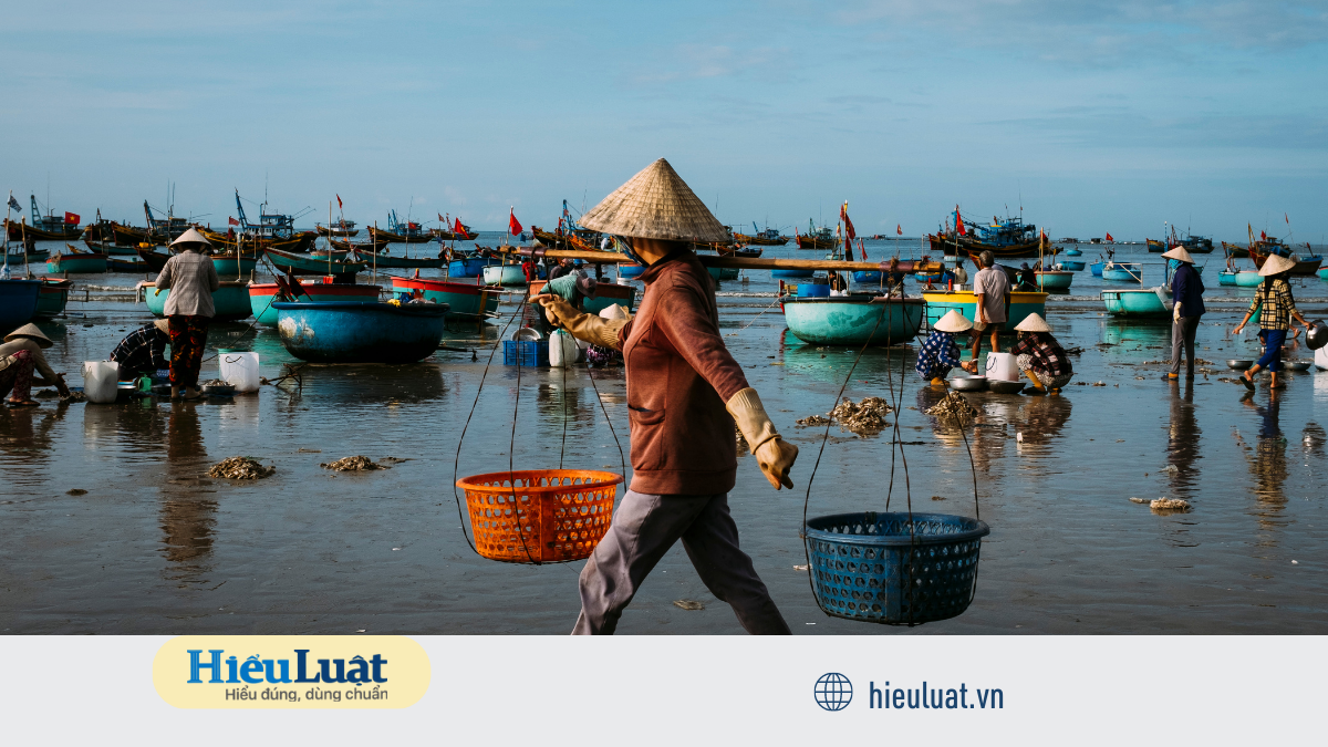 cách tính thuế thu nhập doanh nghiệp 2023 Thu nhập từ đánh bắt hải sản được miễn thuế TNDN
