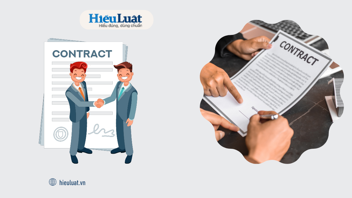 hợp đồng thử việc 2023 Không được thử việc 2 lần ở cùng 1 vị trí công việc