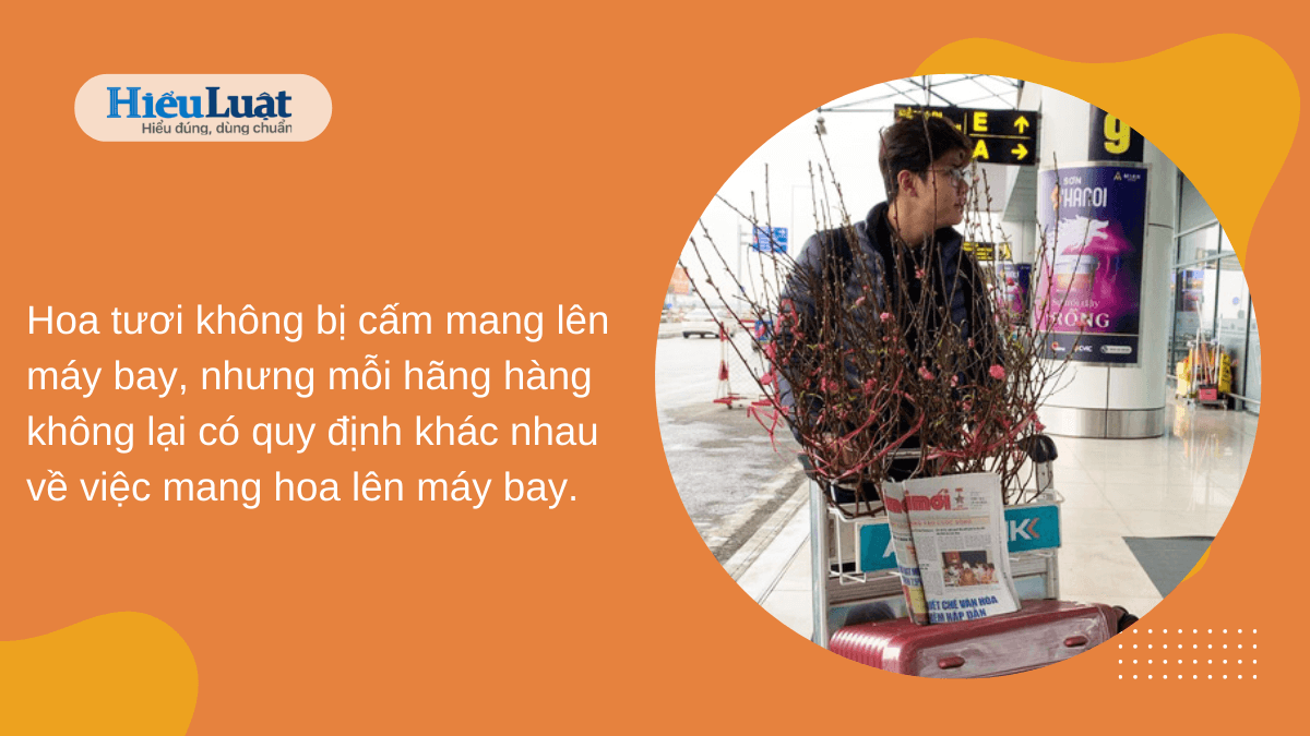 có được mang hoa lên máy bay không có được mang hoa lên máy bay không các hãng hàng không không cấm mang hoa tươi lên máy bay
