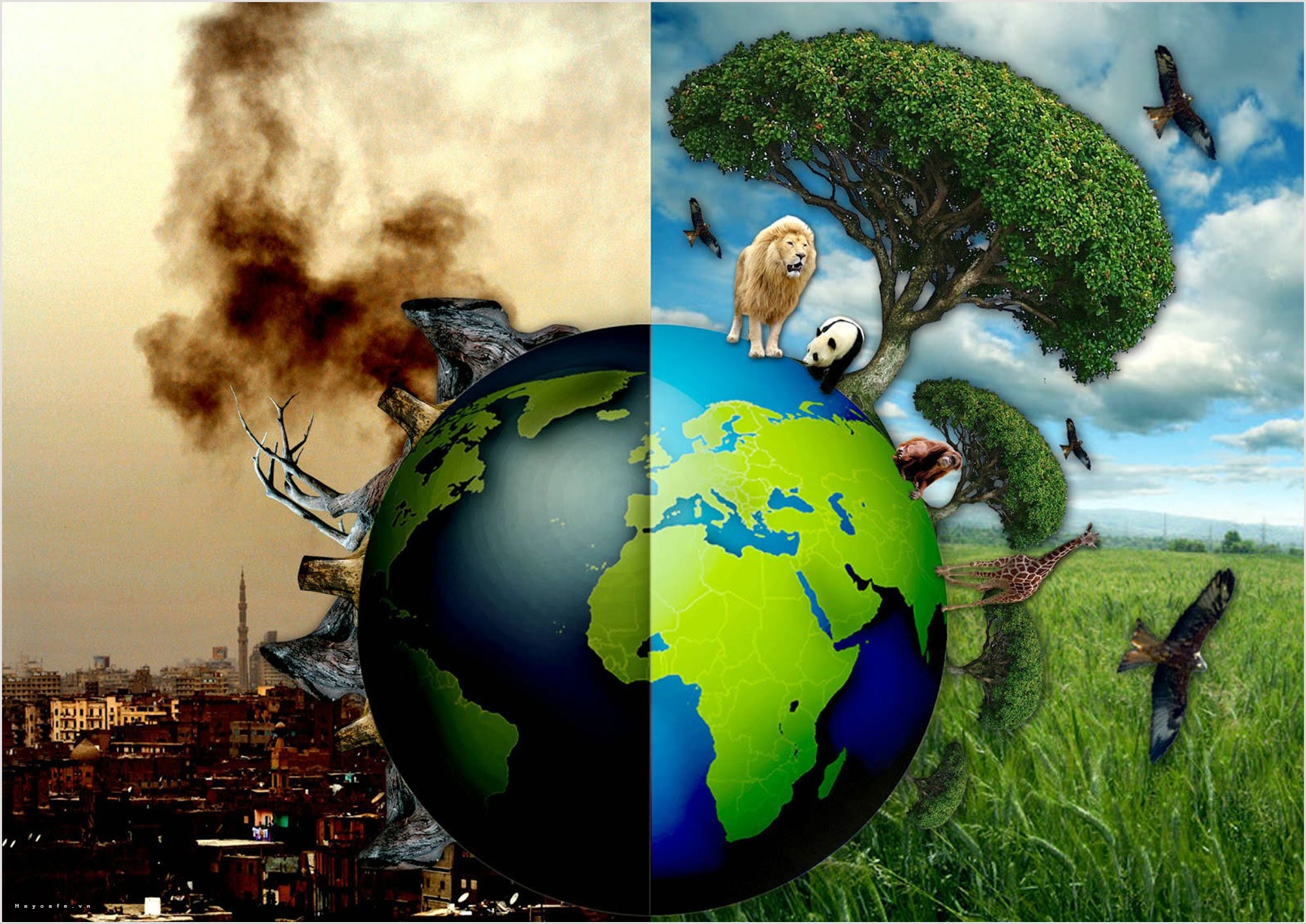 Nguyên nhân gây ô nhiễm môi trường hiện nay là gì?