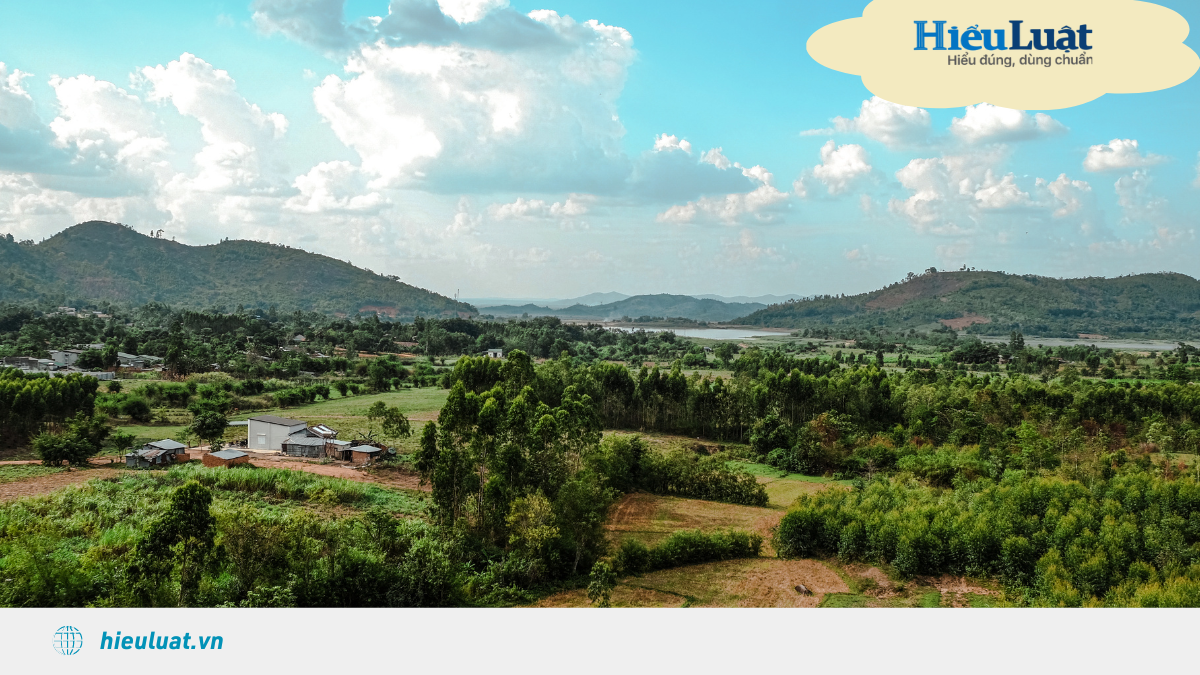 Thủ tục chuyển nhượng đất nương rẫy 2023 chi tiết nhất