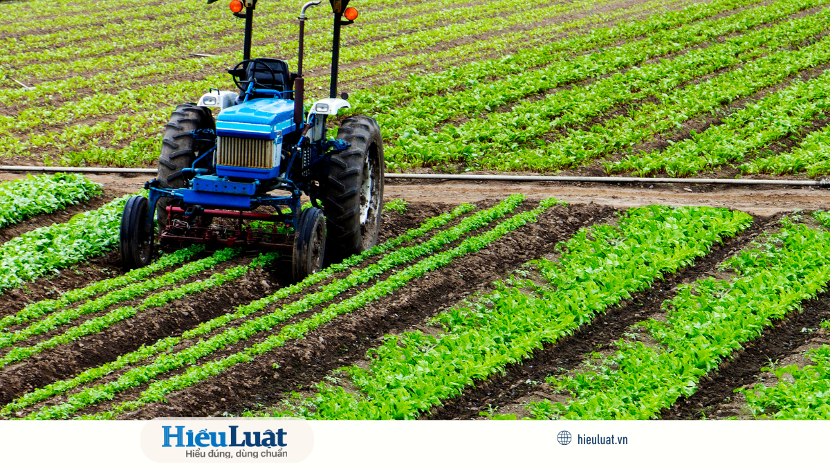 thu hồi đất nông nghiệp làm dự án Doanh nghiệp không được quyền thu hồi đất