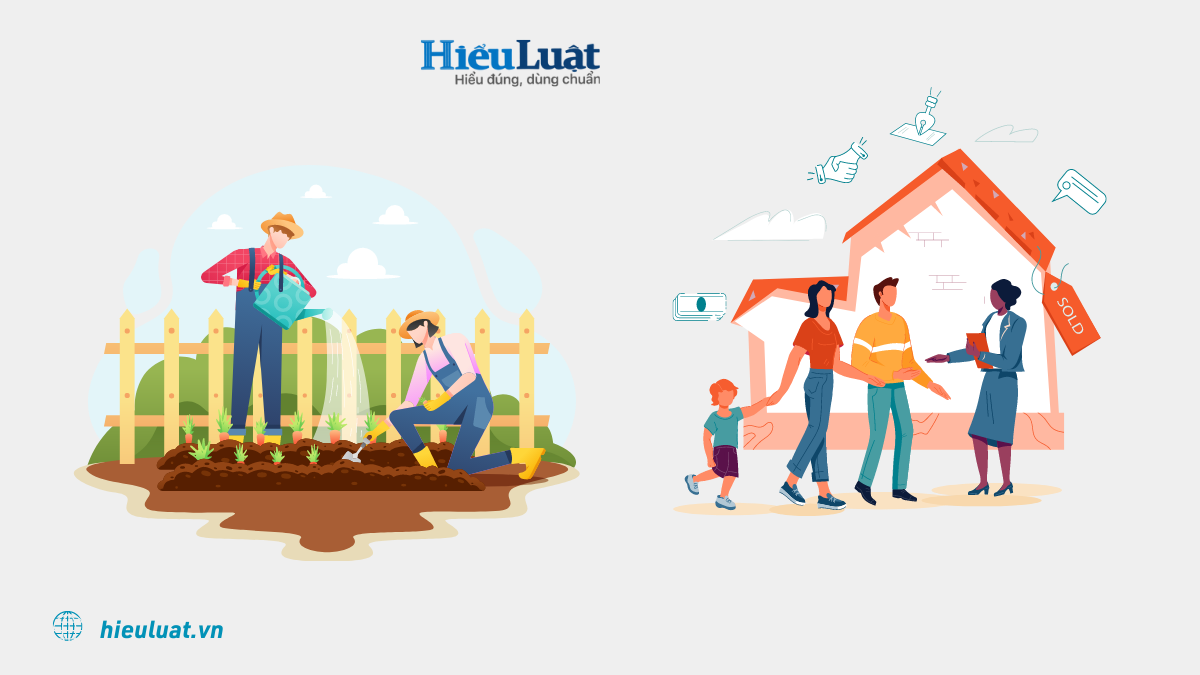 chuyển mục đích sử dụng đất trồng cây hàng năm Các bước chuyển mục đích sử dụng đất hàng năm thành đất ở