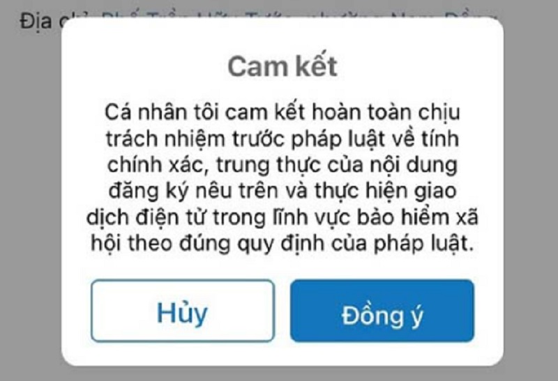 Nhấn Đồng ý để chấp nhận những điều khoản trong cam kết hoặc Hủy 