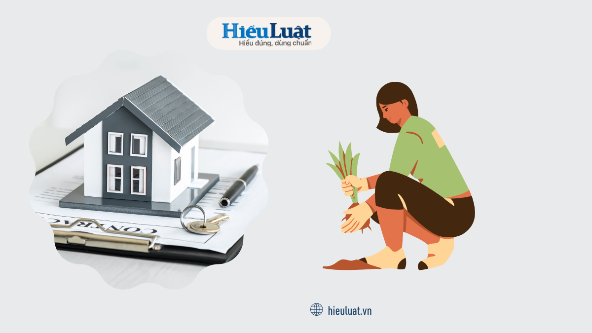 bhk là đất gì Điều kiện chuyển đất bhk thành đất ở