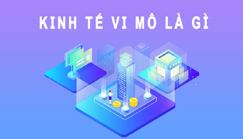 Kinh tế vi mô là gì Kinh tế vi mô là gì?