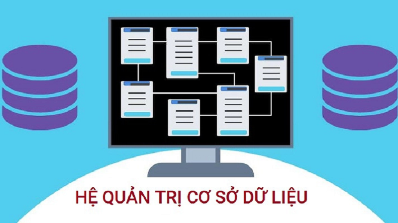 Hệ quản trị dữ liệu Hệ quản trị dữ liệu là gì?