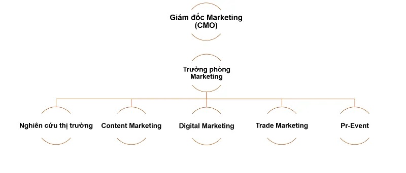sơ đồ tổ chức công ty Sơ đồ công ty theo bộ phận Marketing