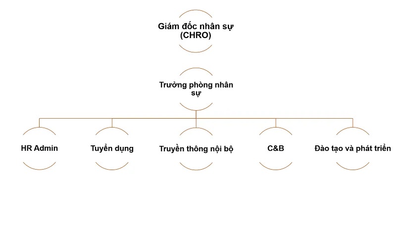 sơ đồ tổ chức công ty Sơ đồ công ty theo bộ phận nhân sự