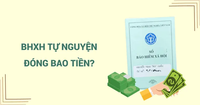 Mức đóng BHXH tự nguyện