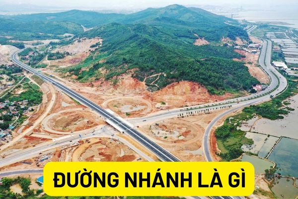 Đường nhánh là gì?