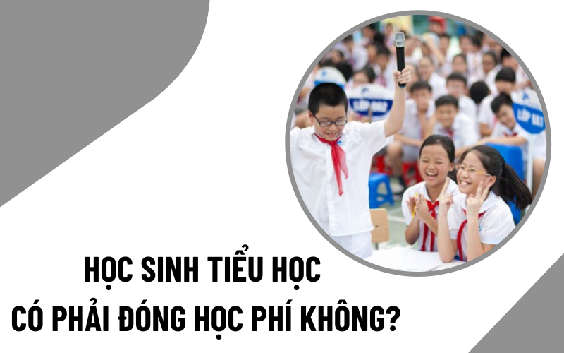 Học sinh tiểu học có phải đóng học phí không?