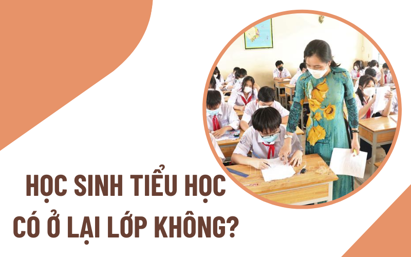 học sinh tiểu học có ở lại lớp không Học sinh tiểu học có ở lại lớp hay không?
