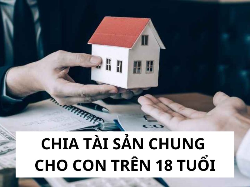 Chia tài sản khi ly hôn cho con trên 18 tuổi