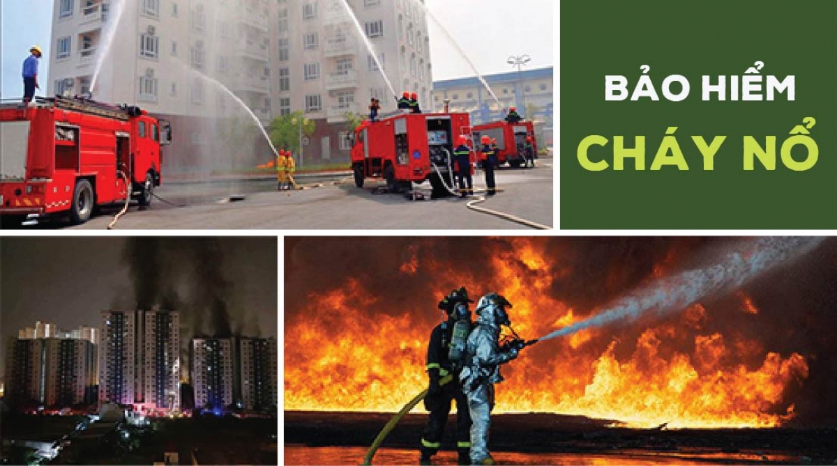 các loại bảo hiểm hiện nay Bảo hiểm cháy nổ bắt buộc