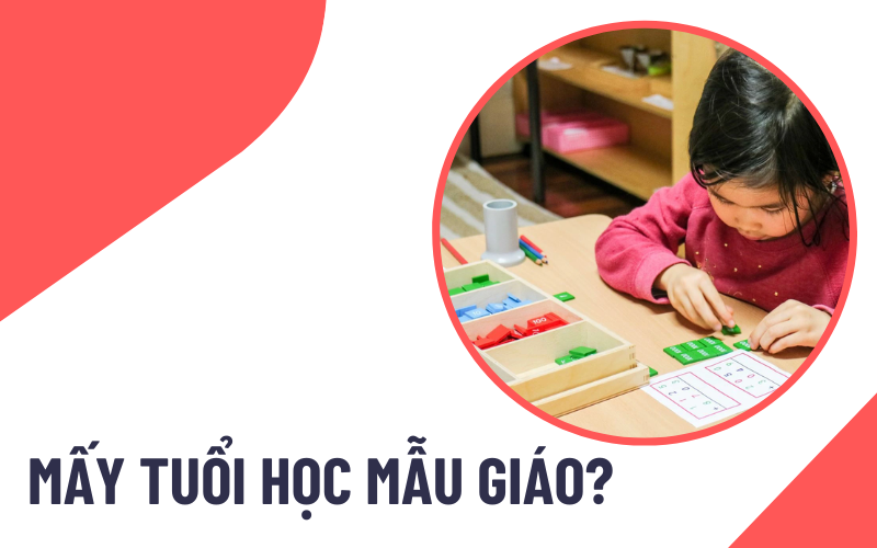 trường mầm non công lập nhận trẻ từ mấy tuổi Quy định về độ tuổi đi học mẫu giáo
