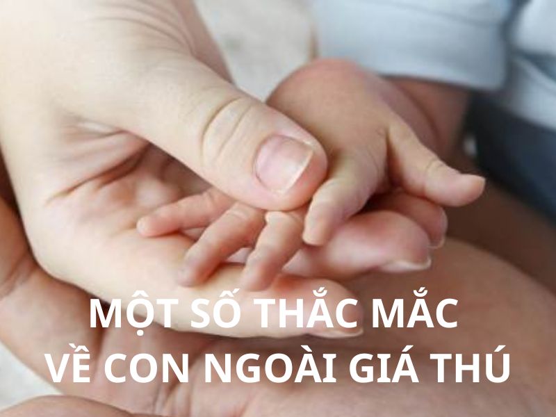 Giải đáp một số thắc mắc khác về con ngoài giá thú