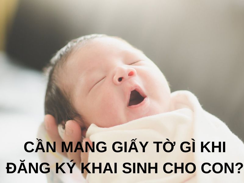 Cần mang giấy tờ gì khi đăng ký khai sinh cho con?