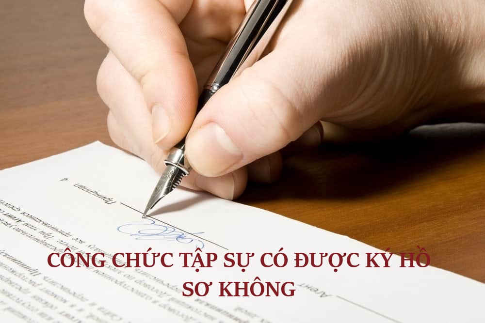 công chức tập sự có được ký hồ sơ Theo quy định, công chức tập sự có được ký hồ sơ?