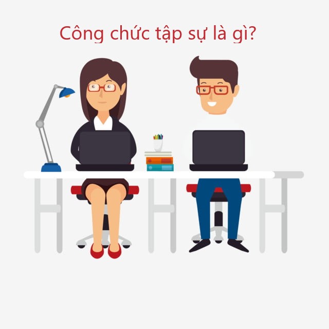 Công chức tập sự là gì?