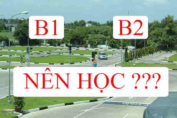 Nên học lái xe hạng B1 hay B2?